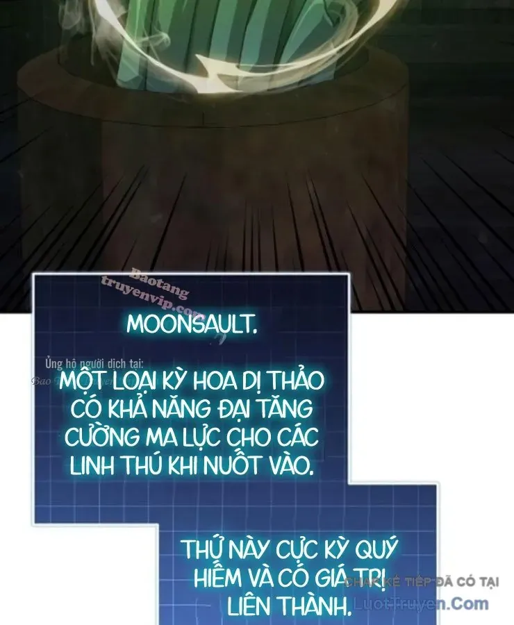 Cuộc Đời Mới Của Cường Giả Chương 5 - Trang 10