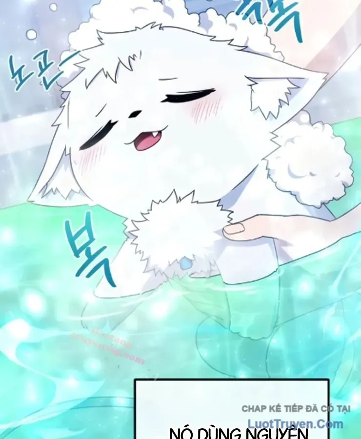 Cuộc Đời Mới Của Cường Giả Chương 7 - Trang 37