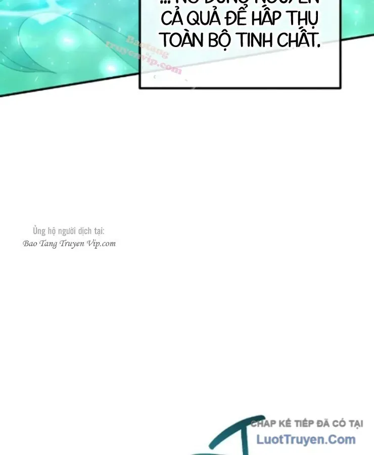 Cuộc Đời Mới Của Cường Giả Chương 7 - Trang 38