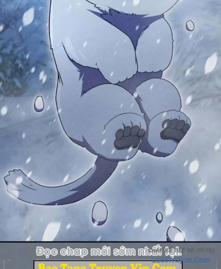 Cuộc Đời Mới Của Cường Giả Chương 8 - Trang 12