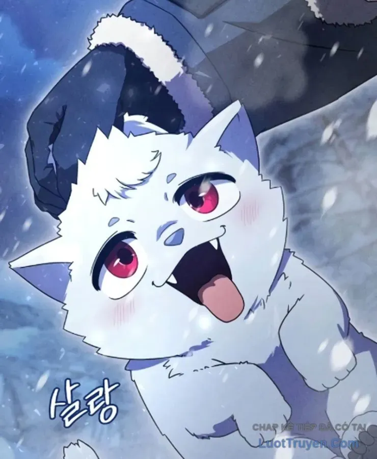 Cuộc Đời Mới Của Cường Giả Chương 8 - Trang 17