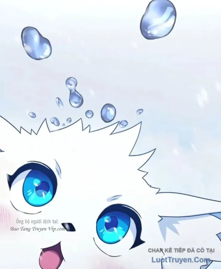 Cuộc Đời Mới Của Cường Giả Chương 8 - Trang 172