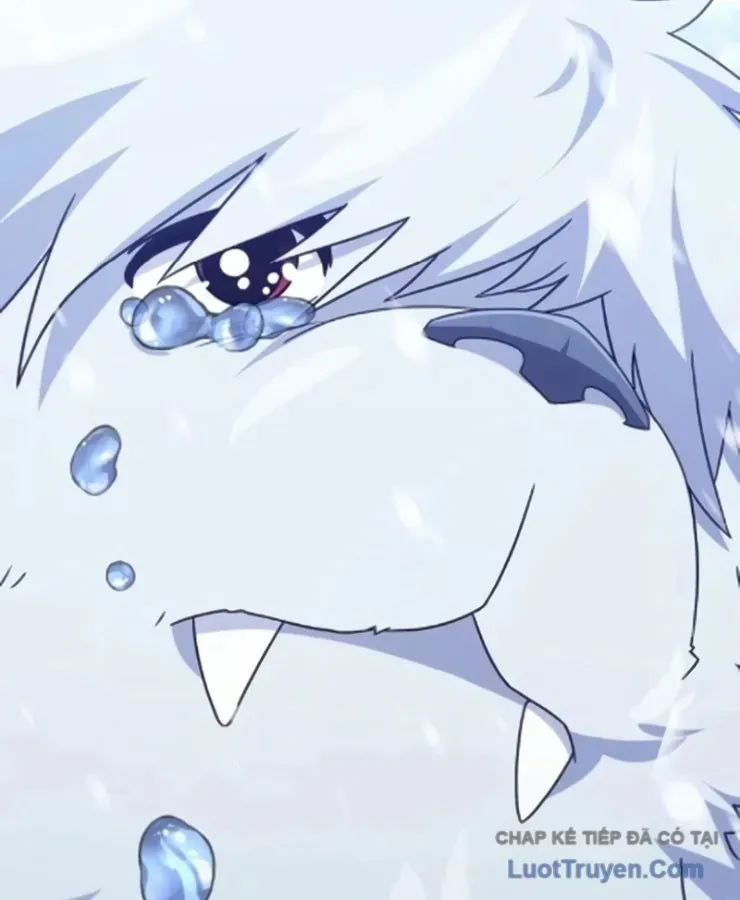 Cuộc Đời Mới Của Cường Giả Chương 8 - Trang 174