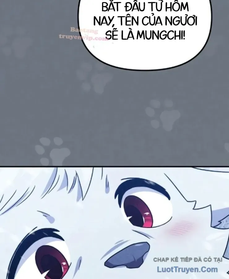Cuộc Đời Mới Của Cường Giả Chương 8 - Trang 48