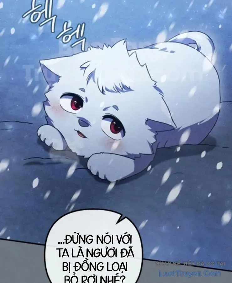 Cuộc Đời Mới Của Cường Giả Chương 8 - Trang 7