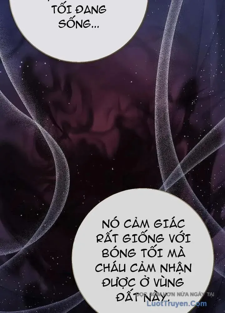 be-con-bao-tuyet-cua-gia-toc-bao-den-71