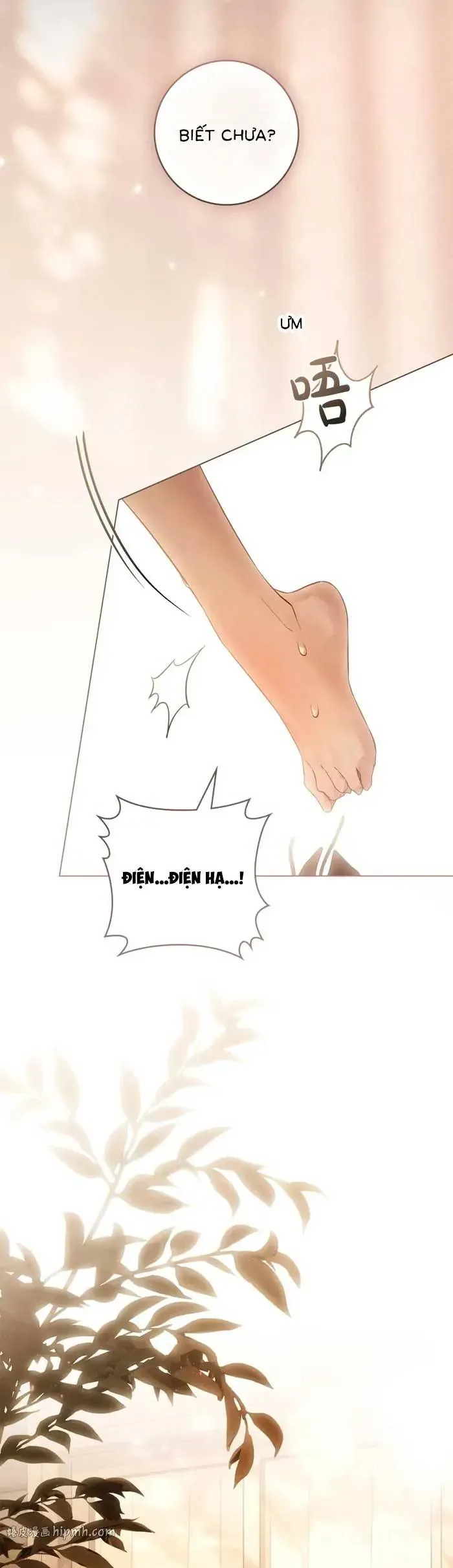 Hôn Ước Đổi Mạng Chương 25 - Trang 31