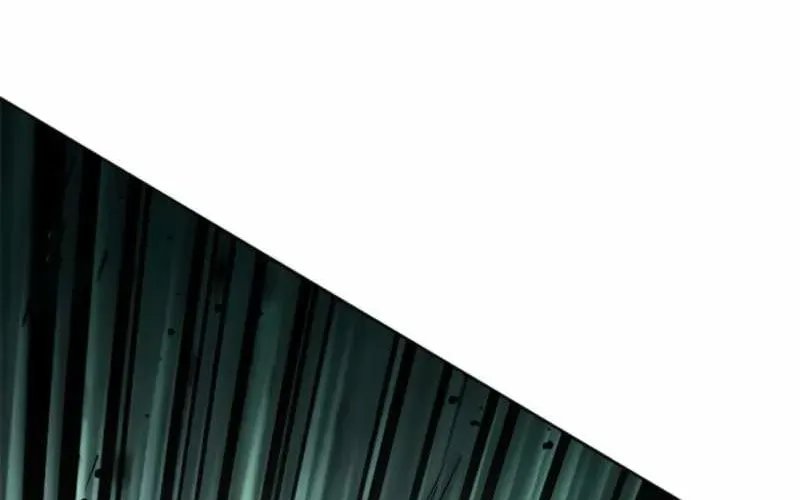 Hoá Thân Thành Mèo Chương 398 - Trang 164