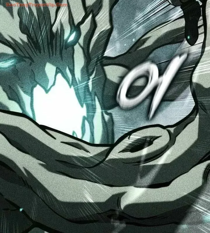 Sự Trở Lại Của Người Chơi Cấp SSS Chương 188 - Trang 13