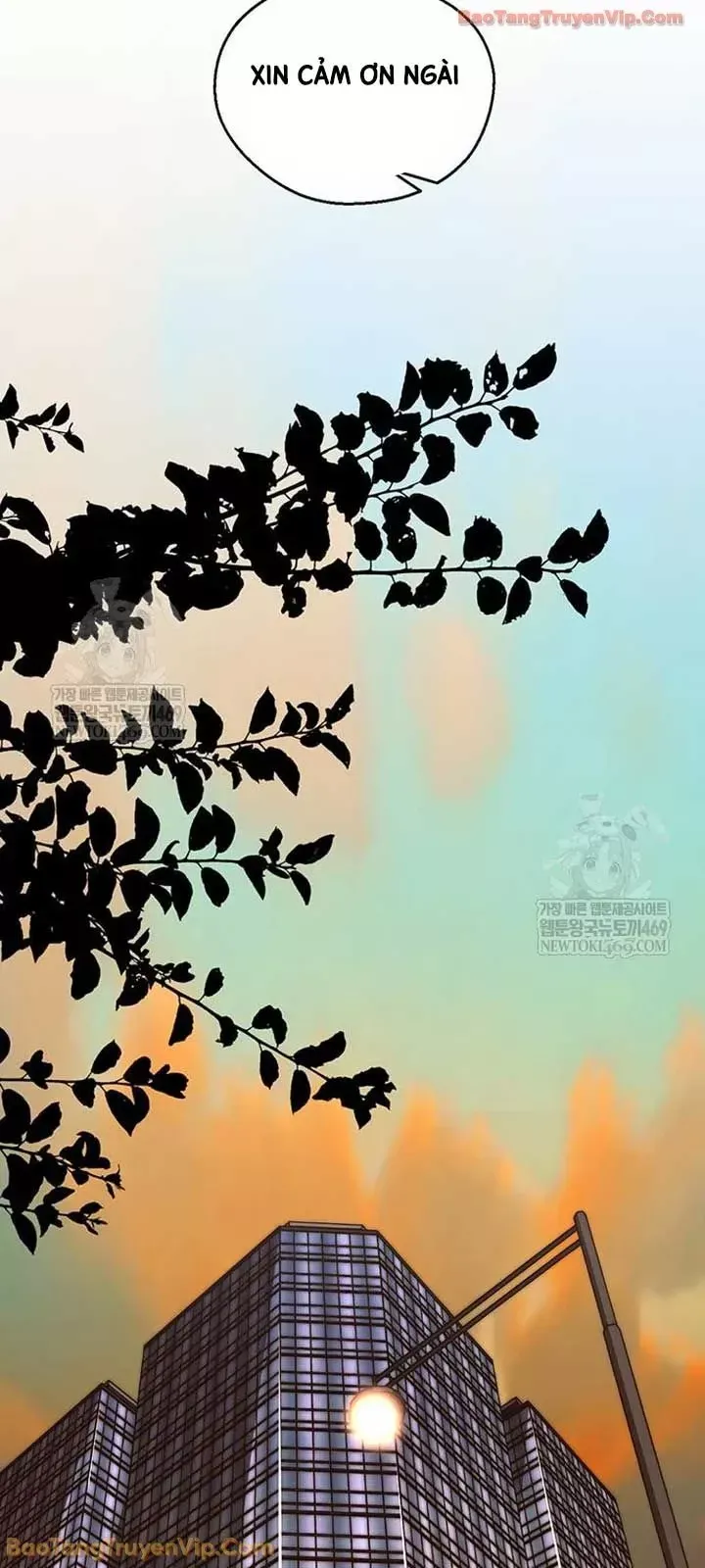 Người Đàn Ông Thực Thụ Chap 245 - Next Chap 244