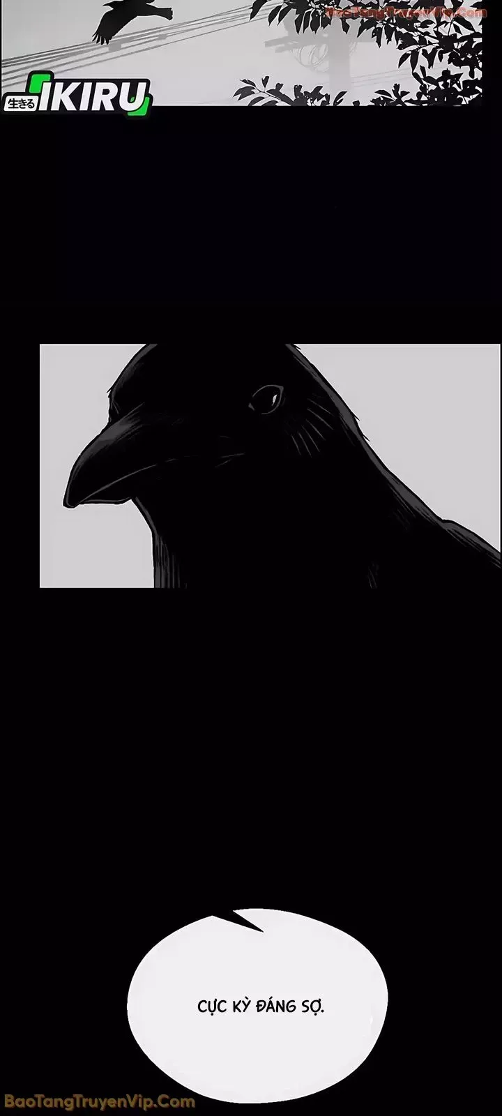 Người Đàn Ông Thực Thụ Chap 247 - Next Chap 246