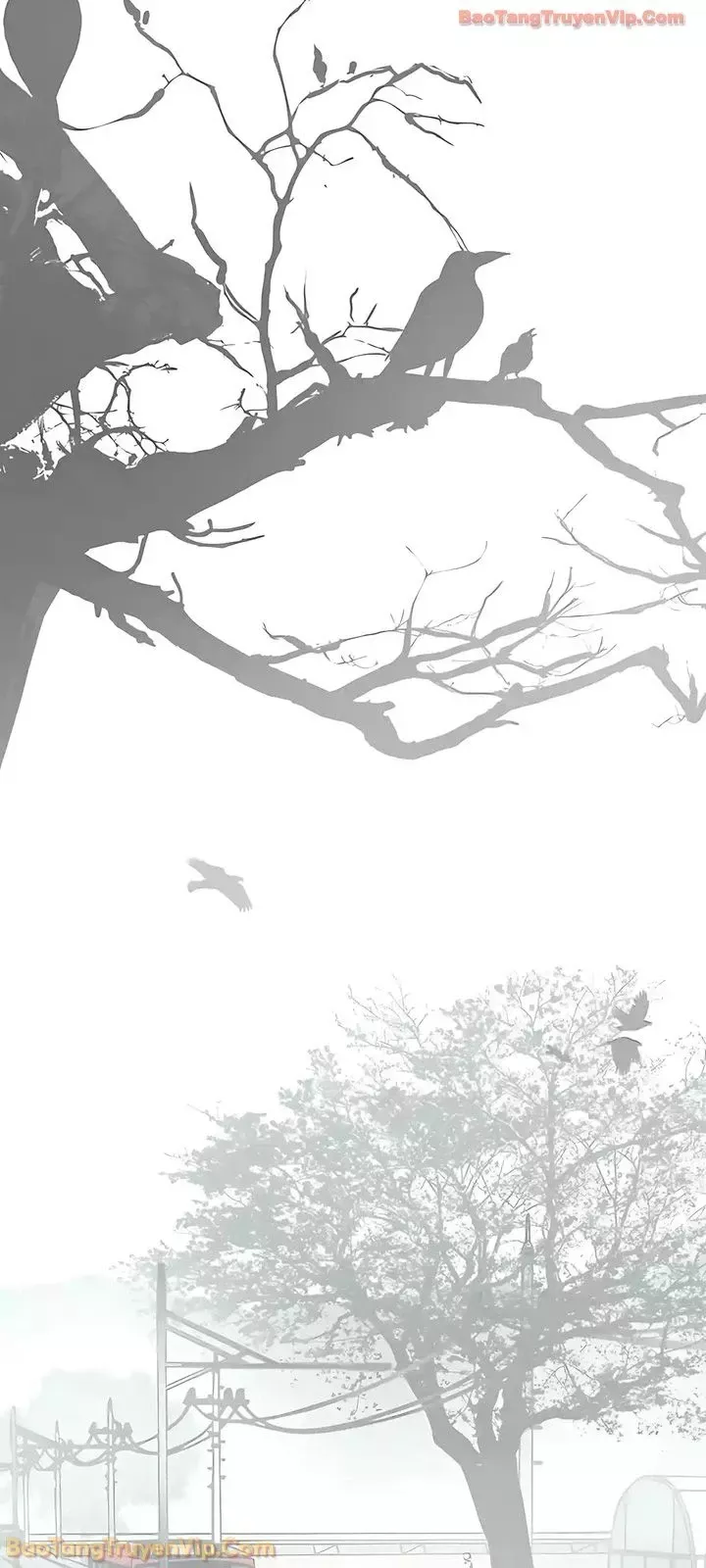 Người Đàn Ông Thực Thụ Chap 247 - Next Chap 246