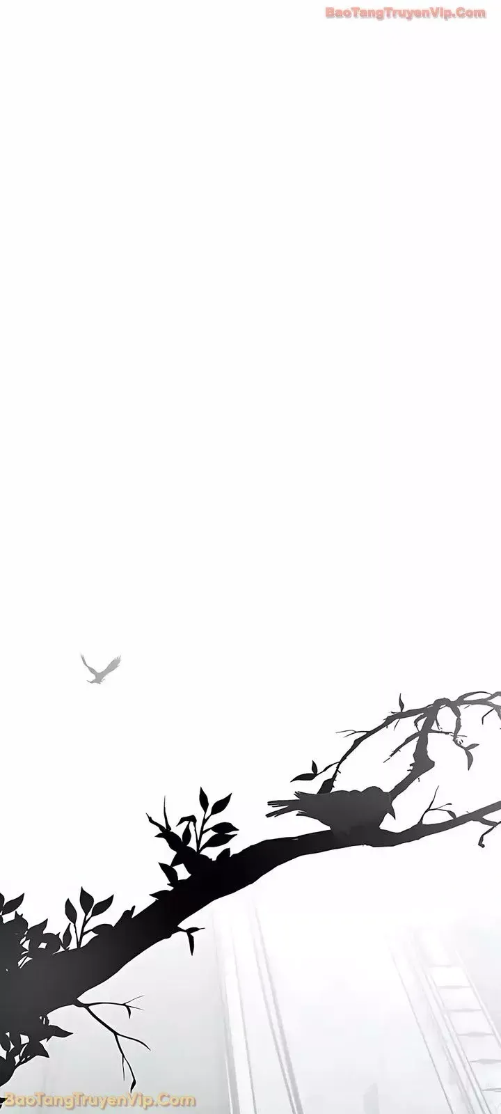 Người Đàn Ông Thực Thụ Chap 247 - Next Chap 246