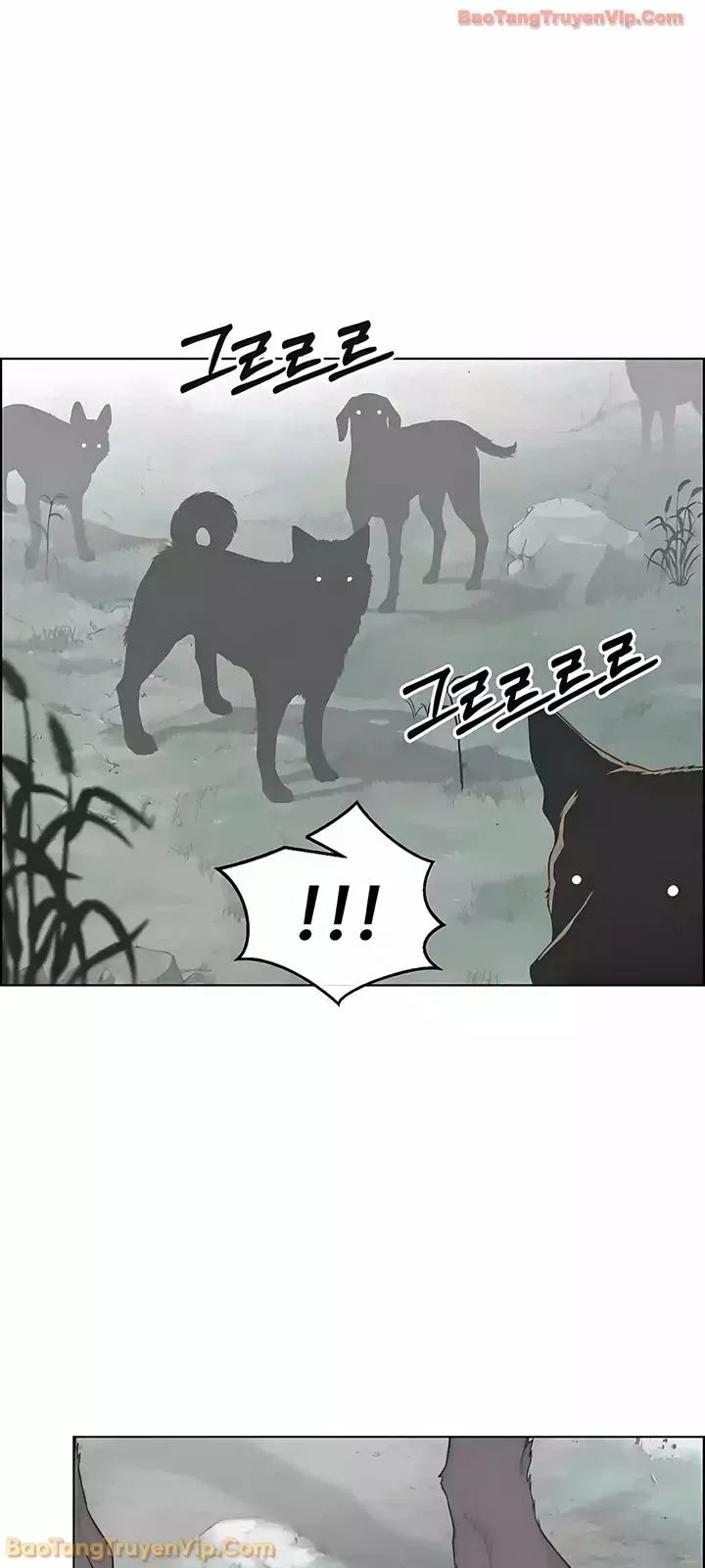 Người Đàn Ông Thực Thụ Chap 247 - Next Chap 246