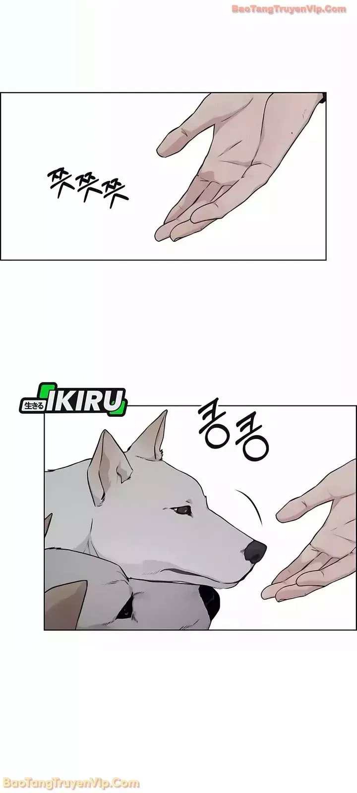 Người Đàn Ông Thực Thụ Chap 247 - Next Chap 246