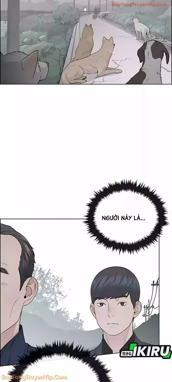 Người Đàn Ông Thực Thụ Chap 247 - Next Chap 246