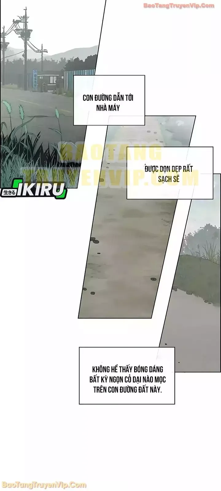 Người Đàn Ông Thực Thụ Chap 247 - Next Chap 246