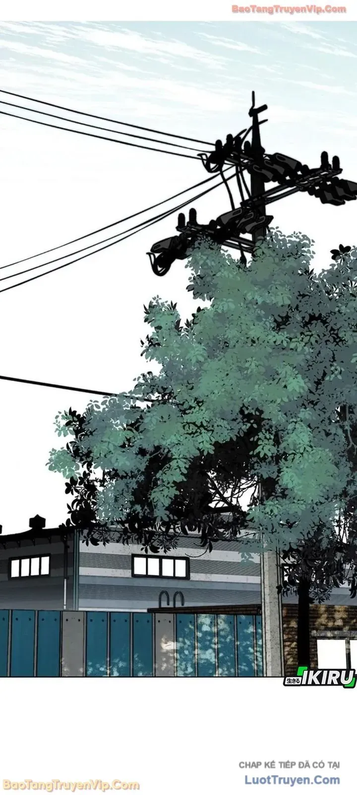 Người Đàn Ông Thực Thụ Chap 248 - Next Chap 247