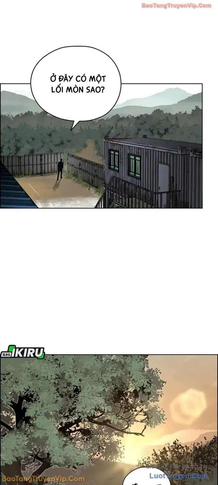 Người Đàn Ông Thực Thụ Chap 248 - Next Chap 247