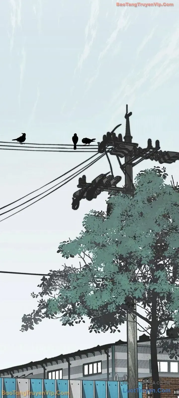 Người Đàn Ông Thực Thụ Chap 248 - Next Chap 247