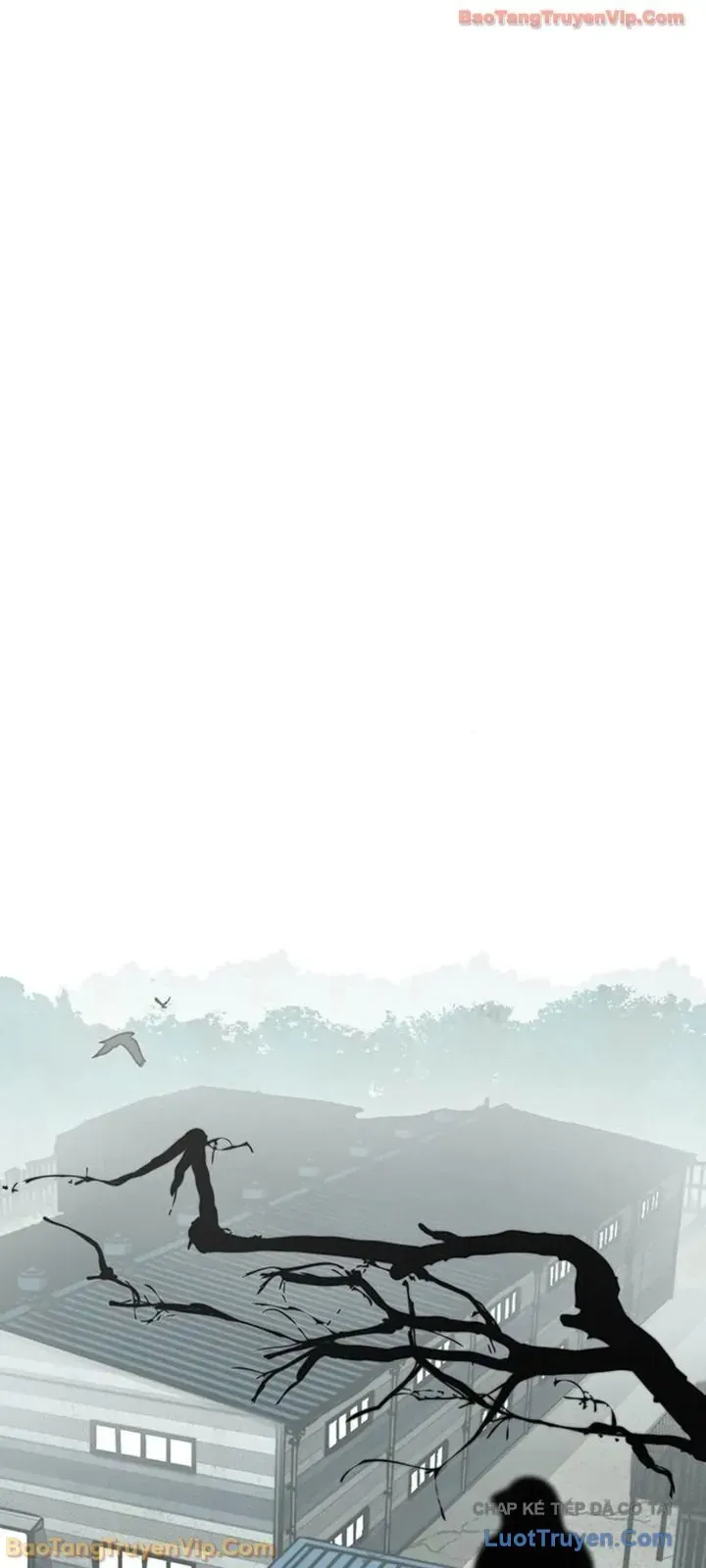 Người Đàn Ông Thực Thụ Chap 248 - Next Chap 247