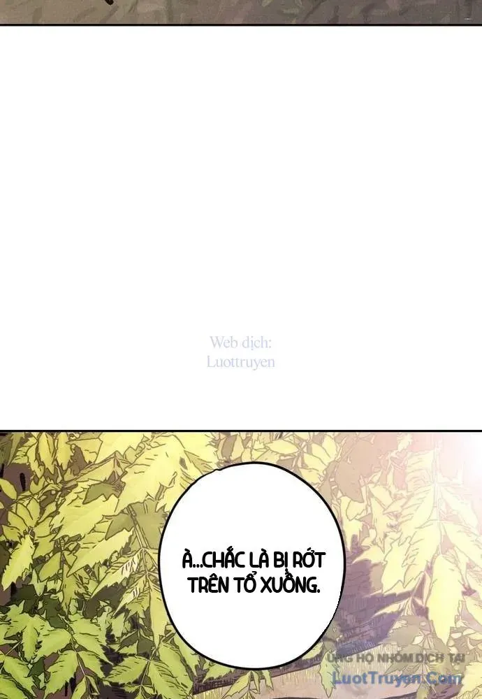 Vô Phạt - Chương 17 - Trang 142