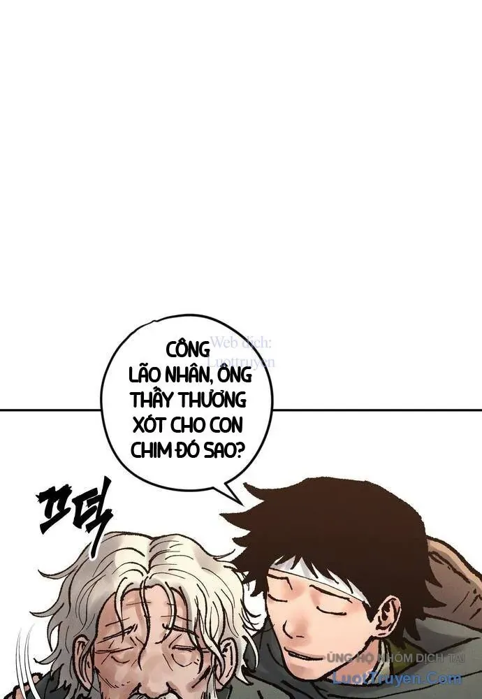 Vô Phạt - Chương 17 - Trang 145