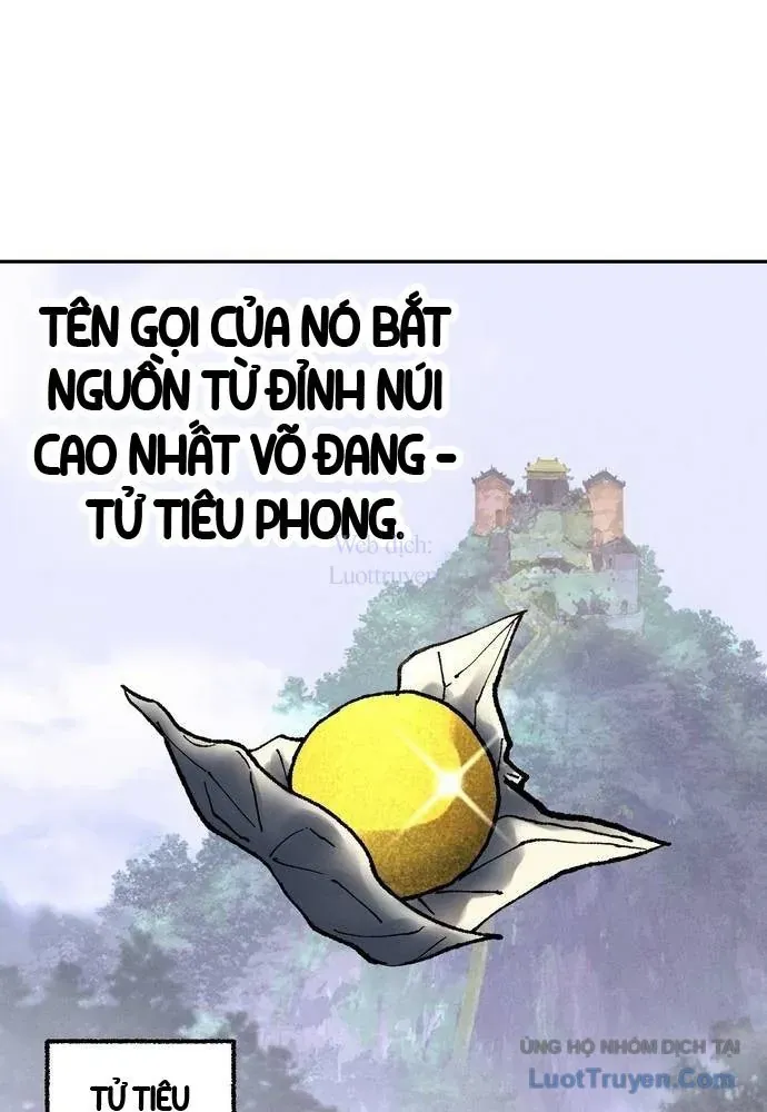 Vô Phạt - Chương 17 - Trang 17