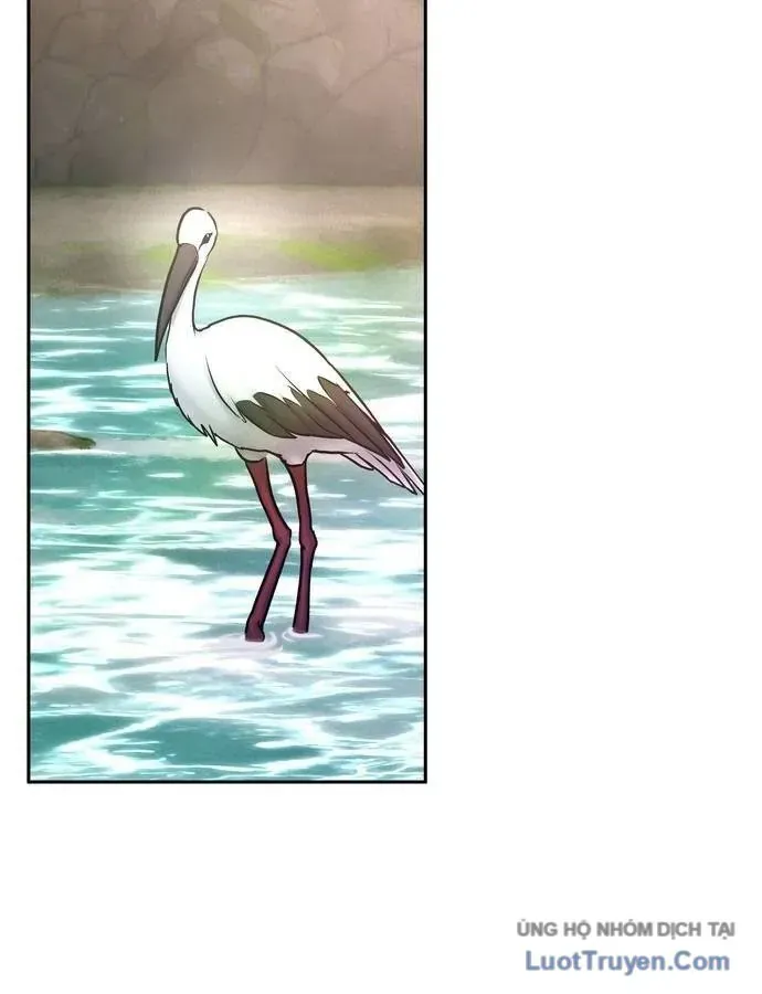 Vô Phạt - Chương 29 - Trang 143