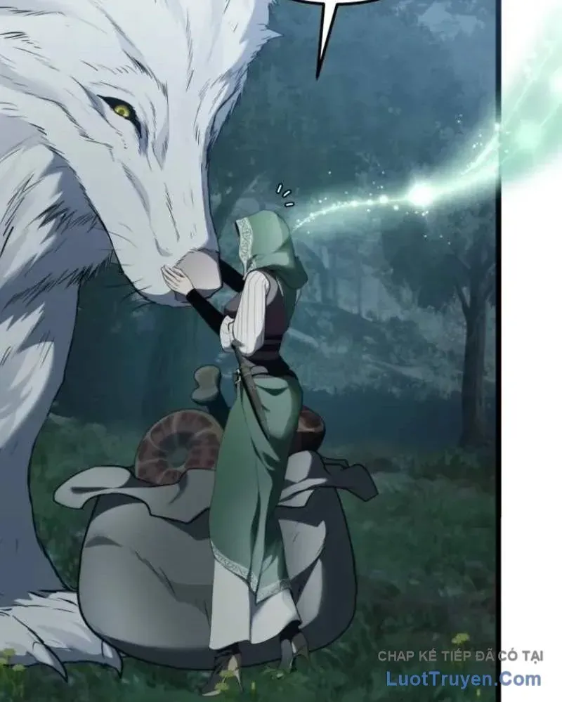 Vua Thăng Cấp Chap 218 - Next Chap 217