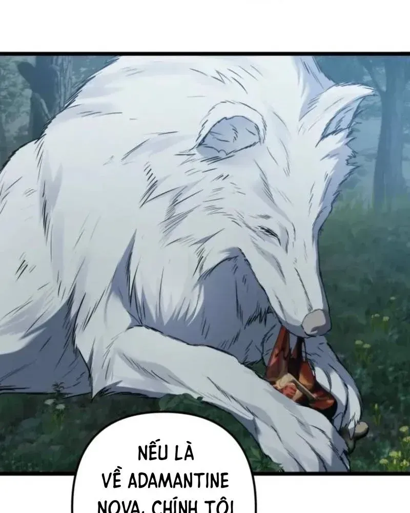 Vua Thăng Cấp Chap 218 - Next Chap 217