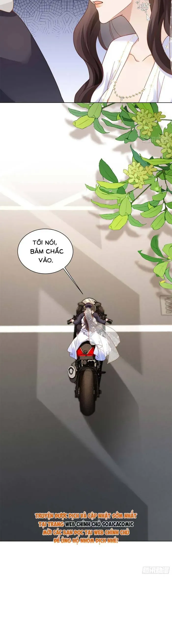 Kết Hôn Với Đại Lão Thực Vật Chương 85 - Trang 15