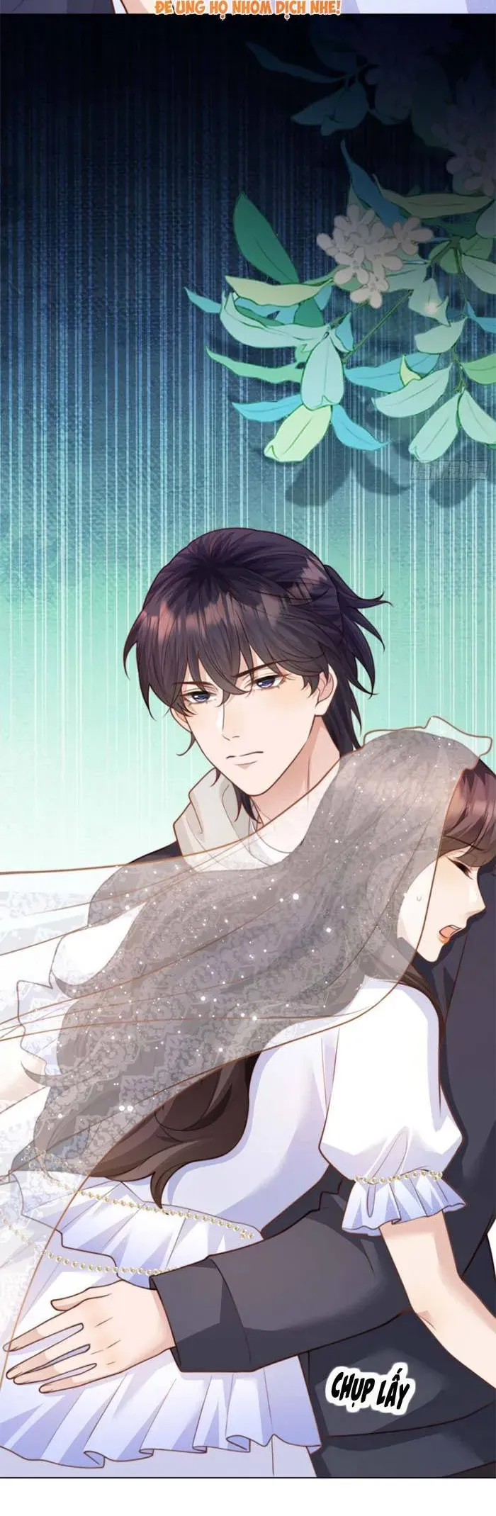 Kết Hôn Với Đại Lão Thực Vật Chương 85 - Trang 6