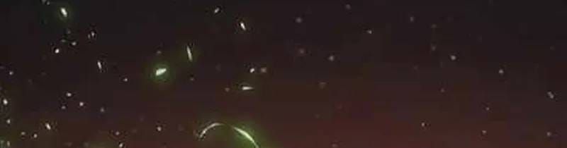 Thợ Săn Nguyên Thủy [Chap 107-110] — trang 139