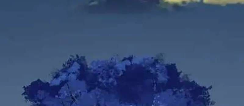 Thợ Săn Nguyên Thủy [Chap 107-110] — trang 79