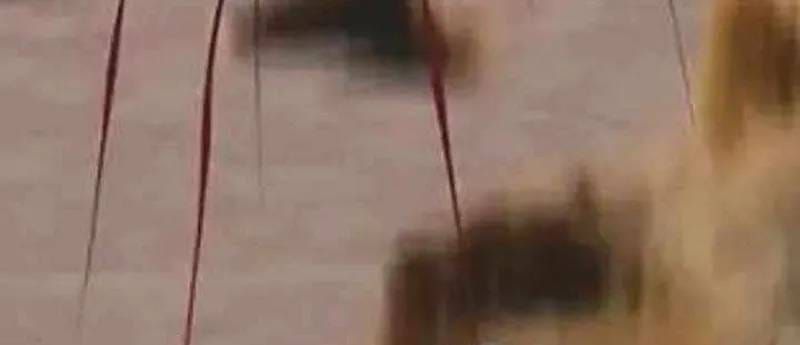 Thợ Săn Nguyên Thủy [Chap 107-110] — trang 190