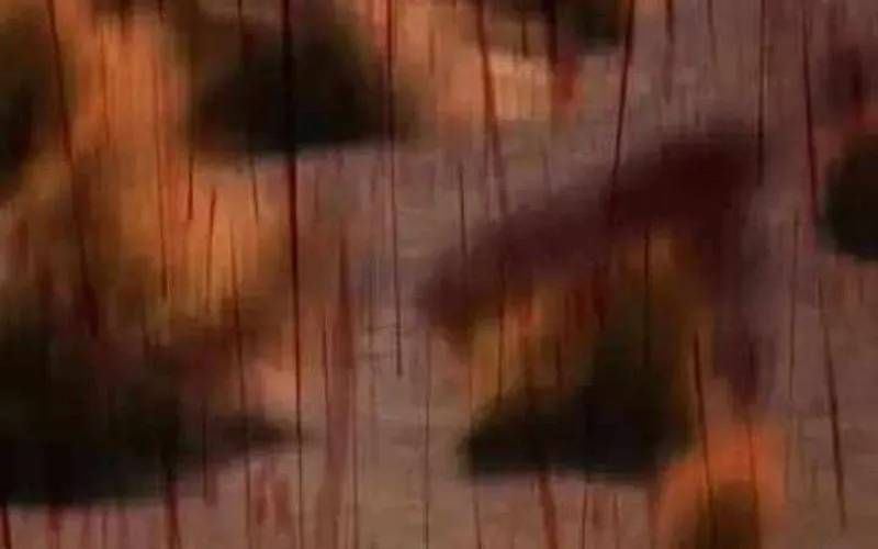 Thợ Săn Nguyên Thủy [Chap 107-110] — trang 241