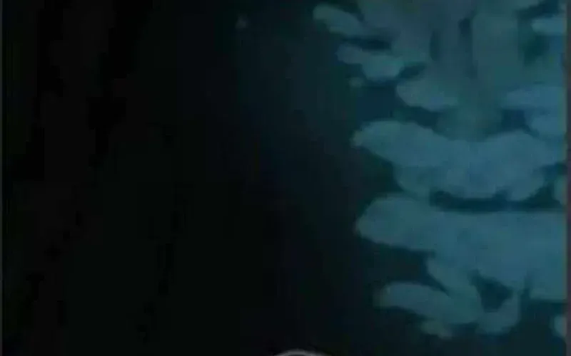 Thợ Săn Nguyên Thủy [Chap 107-110] — trang 56