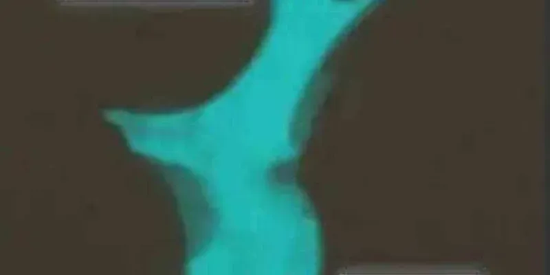 Thợ Săn Nguyên Thủy [Chap 107-110] — trang 64