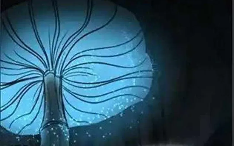 Thợ Săn Nguyên Thủy [Chap 107-110] — trang 69