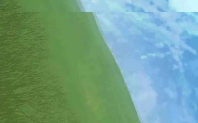 Thợ Săn Nguyên Thủy [Chap 107-110] — trang 140