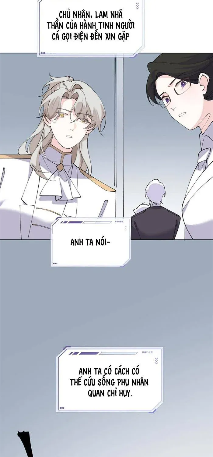 Ban Ngày Đào Hôn, Ban Đêm Lại Được Xin Ôm