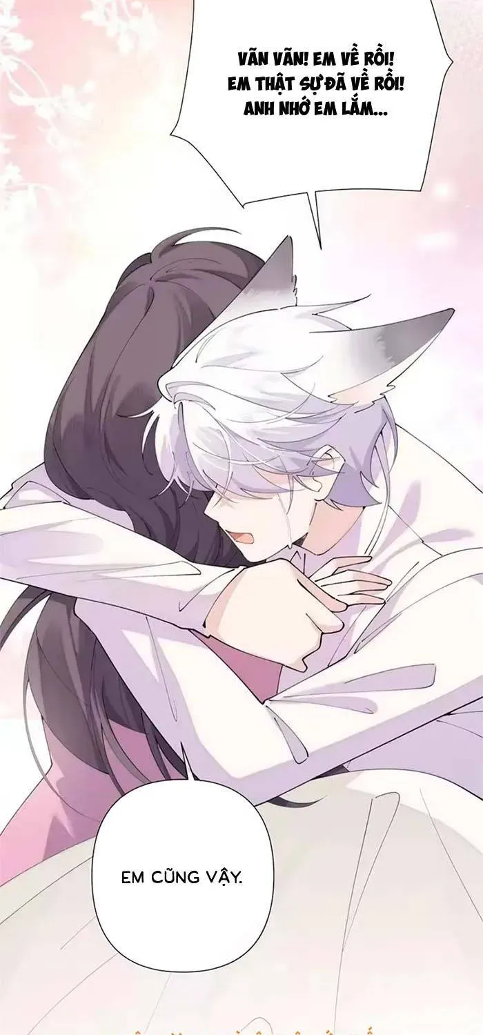 Ban Ngày Đào Hôn, Ban Đêm Lại Được Xin Ôm