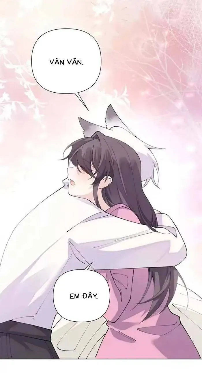 Ban Ngày Đào Hôn, Ban Đêm Lại Được Xin Ôm