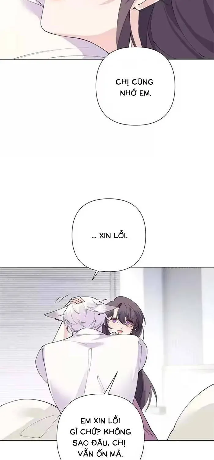 Ban Ngày Đào Hôn, Ban Đêm Lại Được Xin Ôm