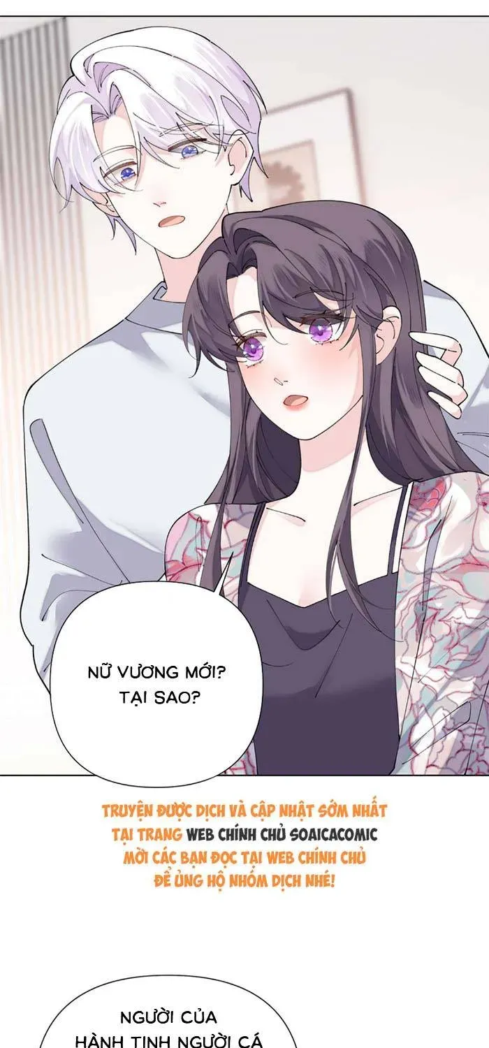 Ban Ngày Đào Hôn, Ban Đêm Lại Được Xin Ôm