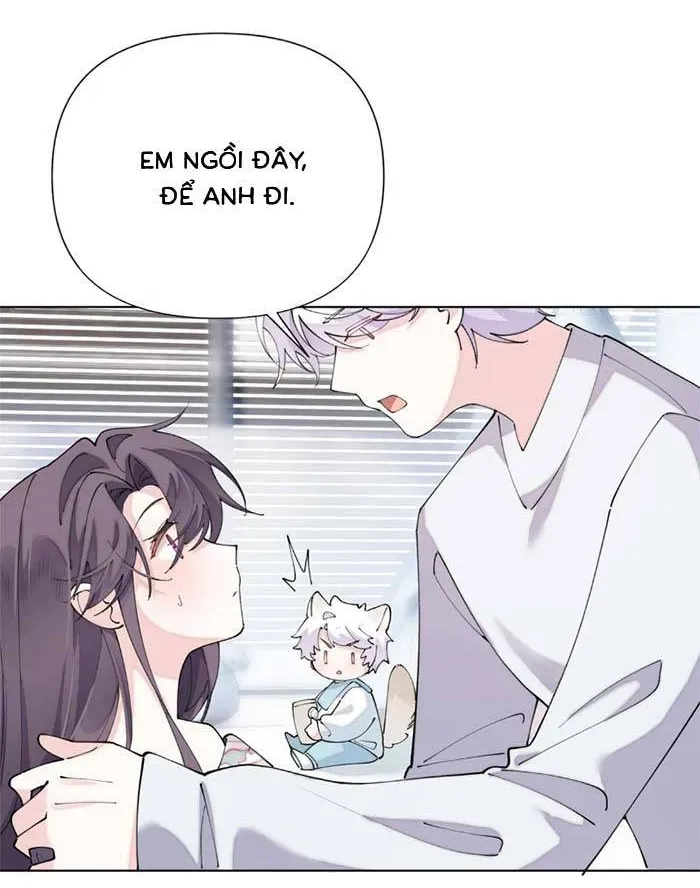 Ban Ngày Đào Hôn, Ban Đêm Lại Được Xin Ôm