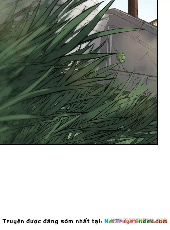 Chapter 268 - Image 7