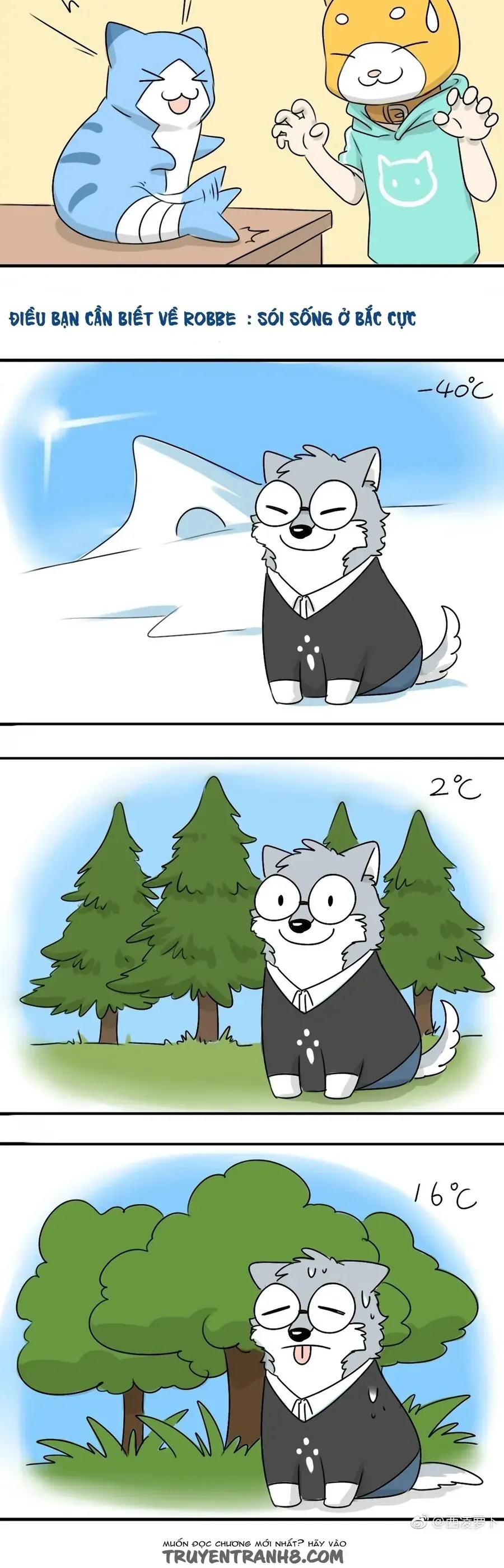 Chương 11 - Trang 46