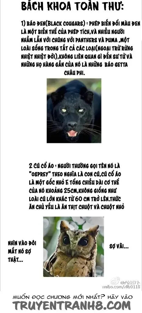 Chương 7 - Trang 16